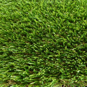 Installers Choice Turf Victory